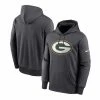 Cheapest 😉 Nike Men's Big And Tall Heathered Charcoal Green Bay Packers Primary Logo Therma Performance Pullover Hoodie Heather Charcoal 🎁 -Outlet Nike Store unnamed file 2544