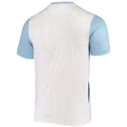 Wholesale 🥰 Nike Men's Light Blue And White Slovenia National Team 2020/21 Home Stadium Replica Jersey Light Blue, White 🥰 -Outlet Nike Store unnamed file 713